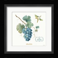 My Greenhouse Fruit III Framed Print
