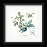 My Greenhouse Fruit II Framed Print