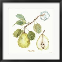 My Greenhouse Fruit I Fine Art Print