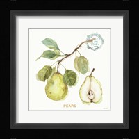My Greenhouse Fruit I Framed Print
