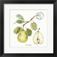 My Greenhouse Fruit I Fine Art Print