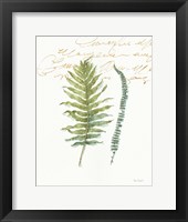 My Greenhouse Fern I Framed Print