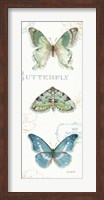 My Greenhouse Butterflies VI Fine Art Print