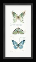 My Greenhouse Butterflies VI Framed Print