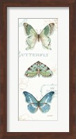 My Greenhouse Butterflies VI Fine Art Print