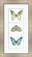 My Greenhouse Butterflies VI Fine Art Print