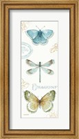 My Greenhouse Butterflies V Fine Art Print
