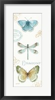 My Greenhouse Butterflies V Fine Art Print
