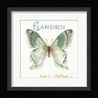 My Greenhouse Butterflies III Framed Print