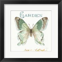 My Greenhouse Butterflies III Fine Art Print
