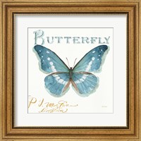 My Greenhouse Butterflies II Fine Art Print