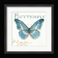 My Greenhouse Butterflies II Framed Print