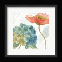 Rainbow Seeds Flowers IV Framed Print