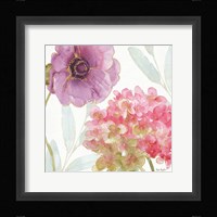 Rainbow Seeds Flowers V Framed Print