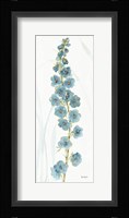 Rainbow Seeds Flowers VI Framed Print