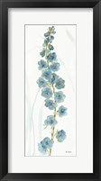 Rainbow Seeds Flowers VI Framed Print