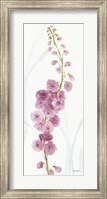 Rainbow Seeds Flowers VII Fine Art Print