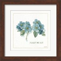 My Greenhouse Forget Me Not Fine Art Print