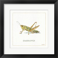 My Greenhouse Grasshopper Fine Art Print