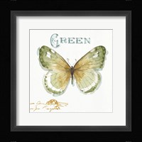 My Greenhouse Butterflies IV Framed Print