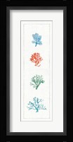 Water Coral VII Framed Print