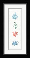 Water Coral VIII Framed Print