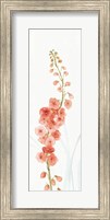 Rainbow Seeds Flowers VII Coral Fine Art Print