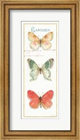 Rainbow Seeds Butterflies II Fine Art Print