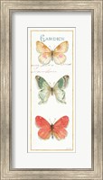 Rainbow Seeds Butterflies II Fine Art Print