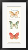 Rainbow Seeds Butterflies II Framed Print