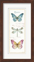 Rainbow Seeds Butterflies I Fine Art Print