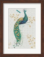 Ornate Peacock IXA Fine Art Print