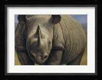Rhinos Fine Art Print