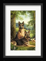 German Shepards/Chicken Fine Art Print
