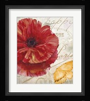 Red Poppy Fine Art Print