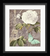 White Rose Framed Print