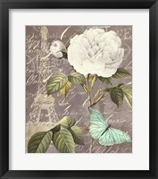 White Rose Framed Print