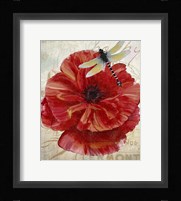 Le Pavot Dragonfly Fine Art Print