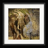 Taste Of Africa III Framed Print