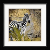 Taste Of Africa IV Framed Print