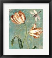 Tulips Ablaze I Framed Print
