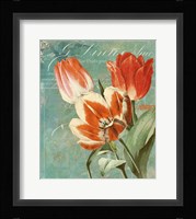 Tulips Ablaze II Fine Art Print