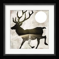 Going Wild I Fine Art Print