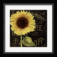 Sunflower Salon I Framed Print