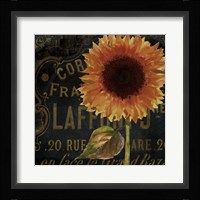 Sunflower Salon II Framed Print