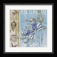 Blue Crab I Framed Print