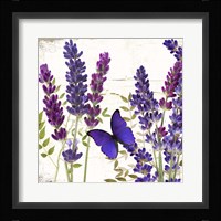 Lavande I Fine Art Print