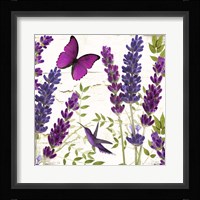 Lavande II Fine Art Print