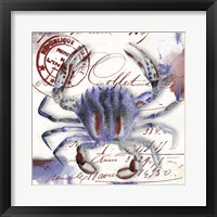 Oceania II Framed Print