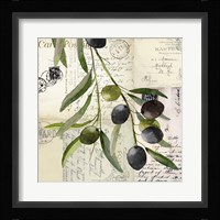 Olivia I Fine Art Print